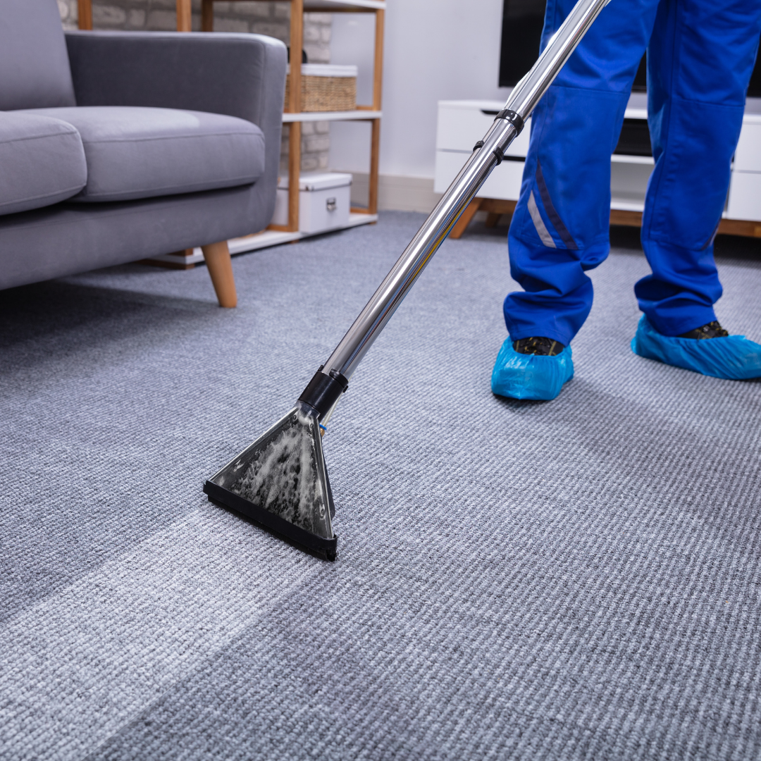 A person in blue work clothes and shoe covers uses a carpet cleaning machine on a gray carpet in a living room with a gray sofa and shelves in the background.